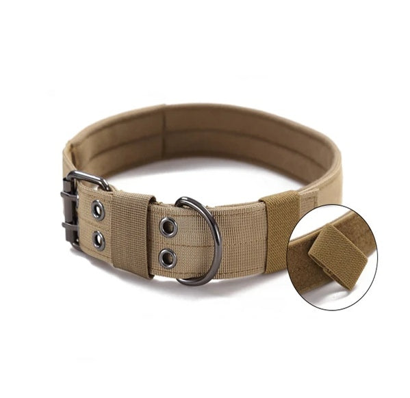 Brown TrailGuard tactical collar with metal buckle and leash D-ring