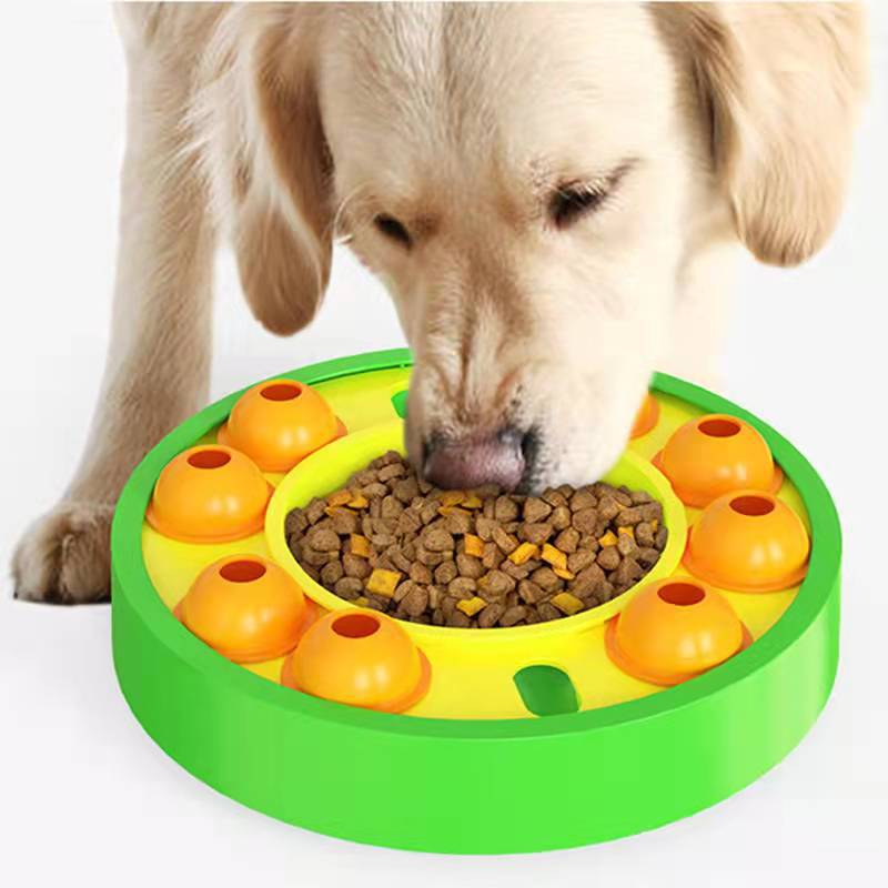 Golden retriever using the green Houndrise Spin & Seek Puzzle Feeder
