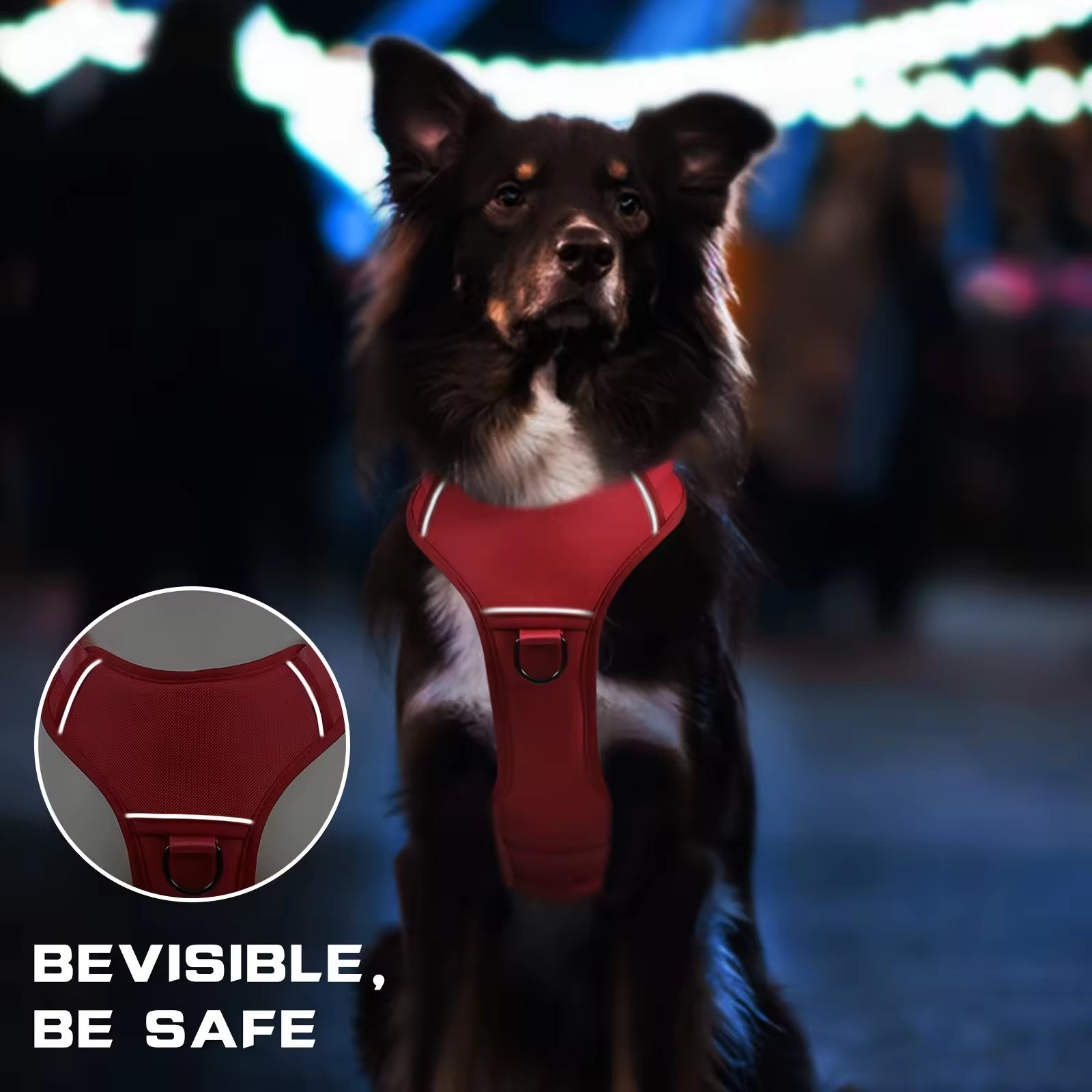 Dog wearing red TrailGuard harness with reflective front trim