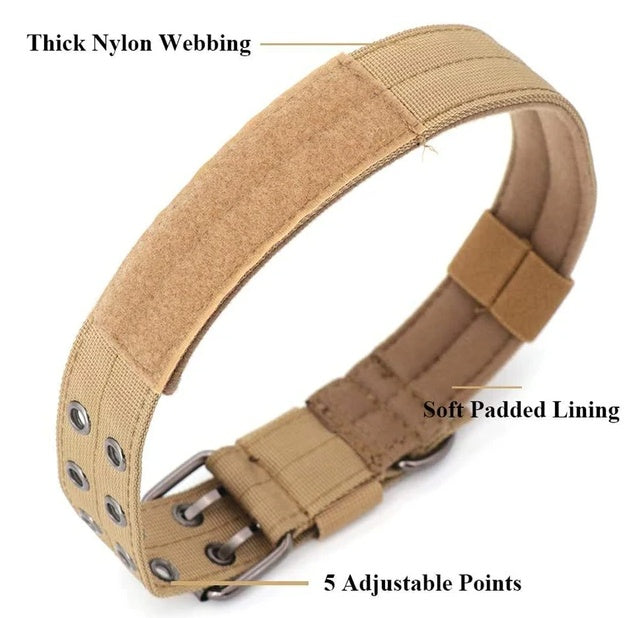 Brown TrailGuard collar with nylon webbing, padded lining, and five adjustment holes