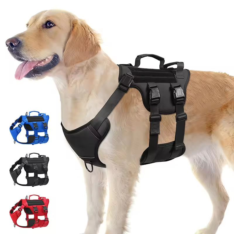 TrailGuard harness worn by a golden retriever with black, blue, and red colour options
