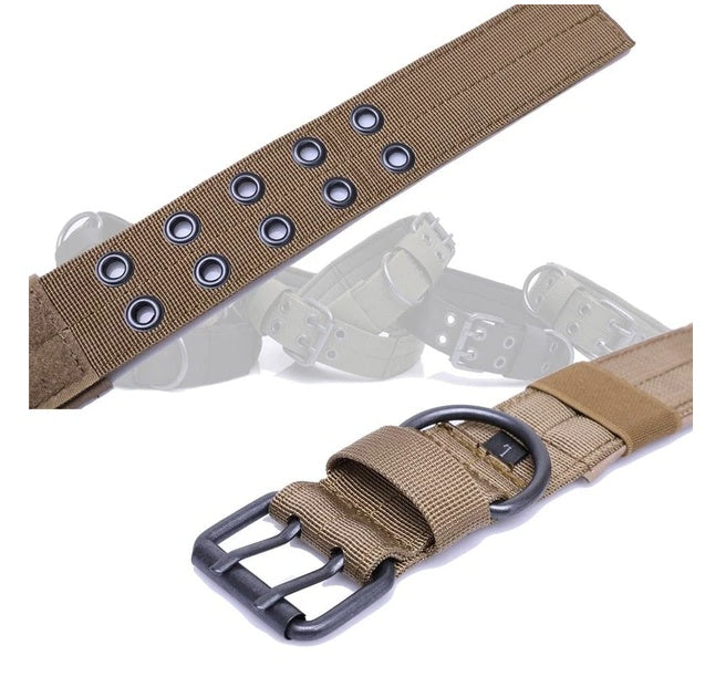 TrailGuard tactical collar metal double-pin buckle and reinforced eyelets