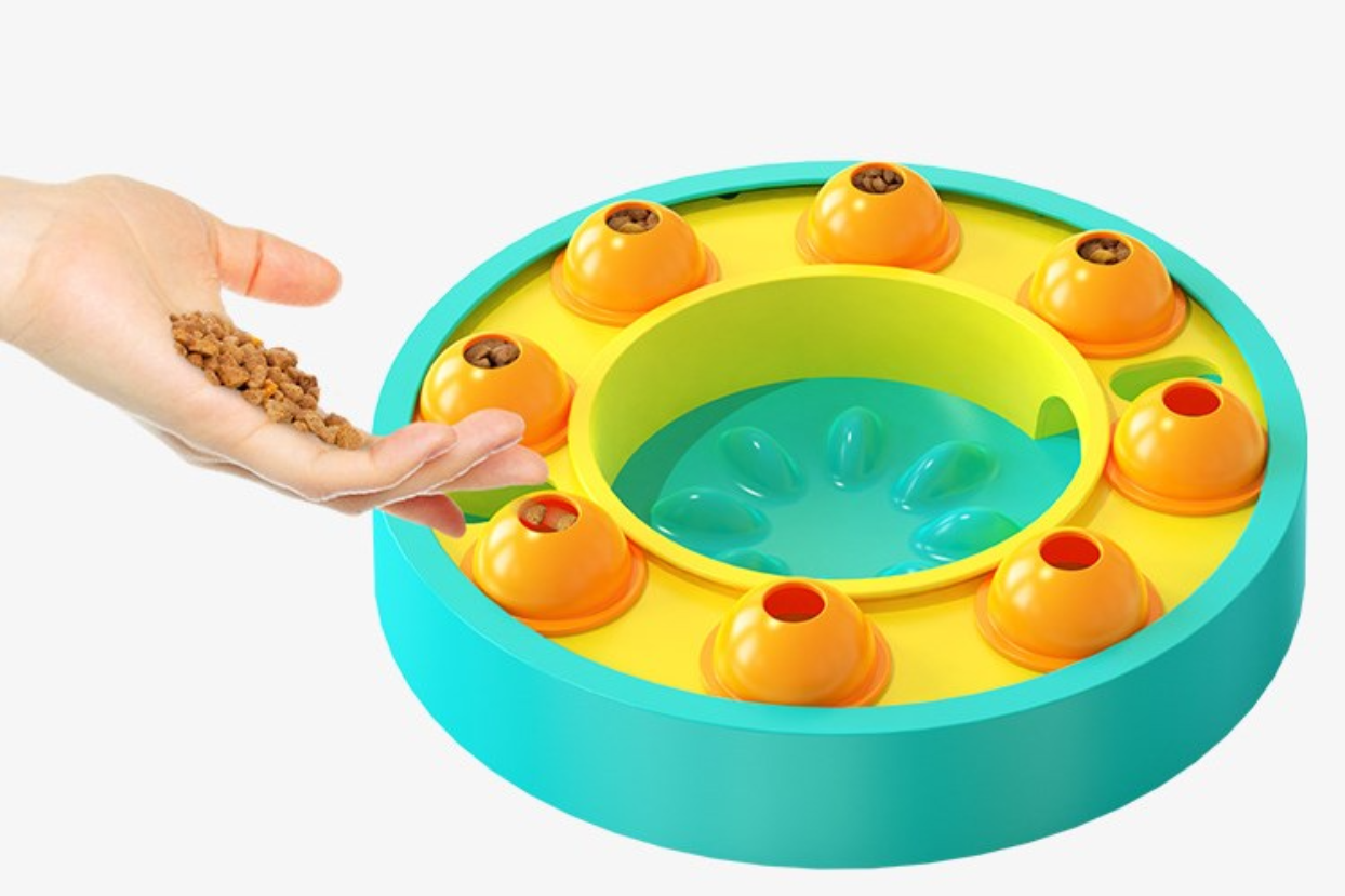 Dry kibble being loaded into the blue Houndrise Spin & Seek Puzzle Feeder