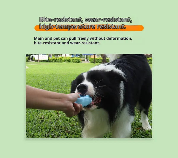 Blue corn chew toy used during supervised dog play