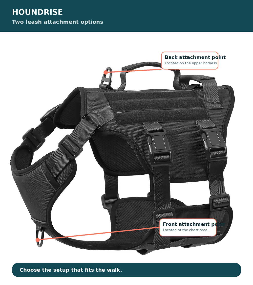 TrailGuard harness front and back leash attachment options